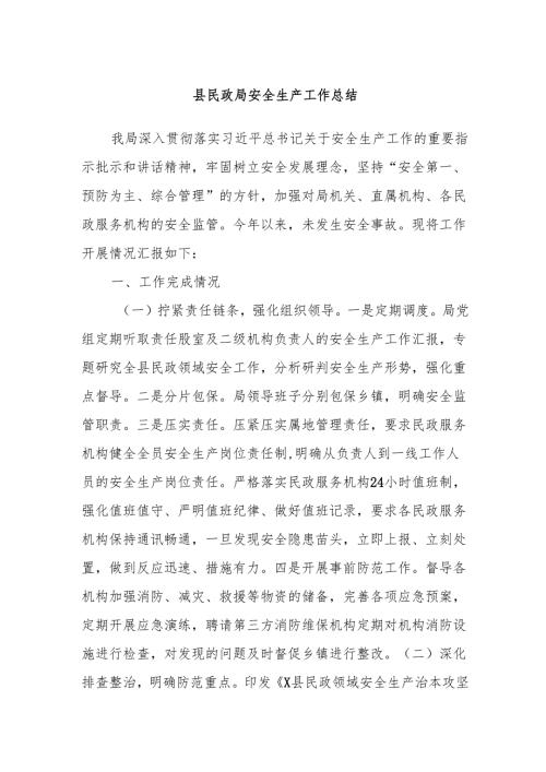 县民政局安全生产工作总结.docx