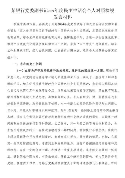 银行党委副书记2024年度民主生活会个人对照检视发言材料.docx
