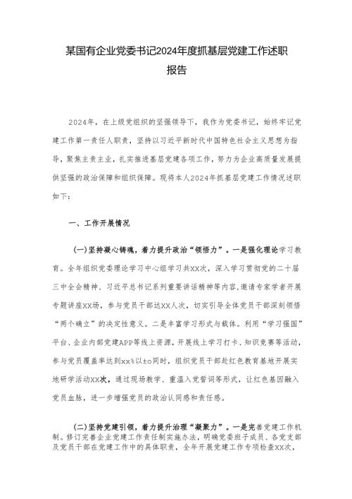某国有企业党委书记2024年度抓基层党建工作述职报告.docx