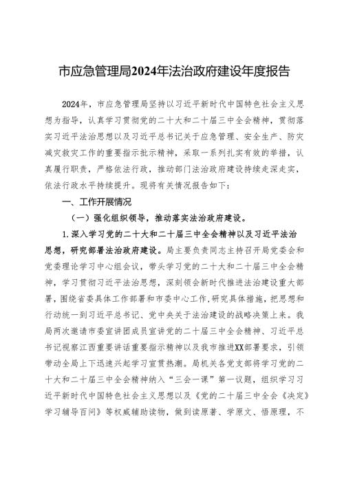 市应急管理局2024年法治政府建设年度报告.docx