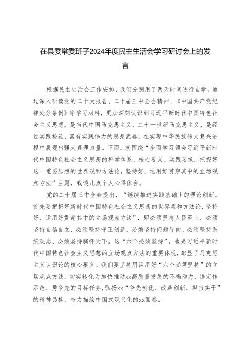 在县委常委班子2024-2025年年度民主生活会学习研讨会上的发言.docx
