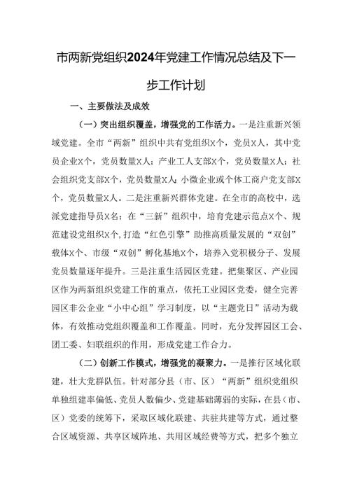 市两新党组织2024年党建工作情况总结及下一步工作计划.docx