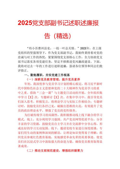 2025党支部副书记述职述廉报告（精选）.docx