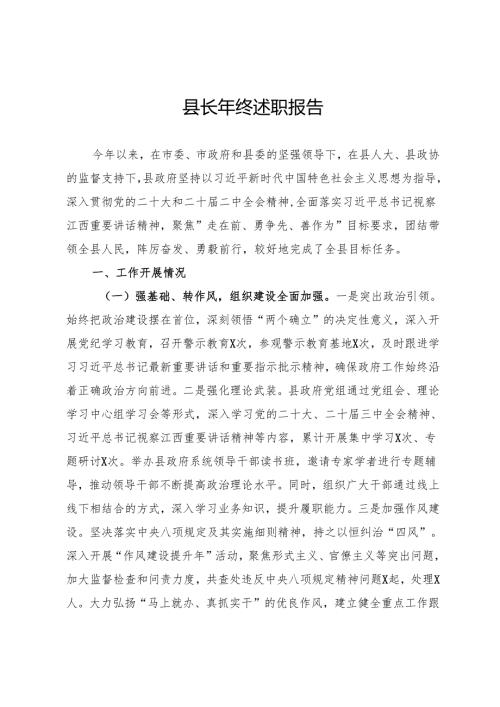 县长2024年述职报告.docx