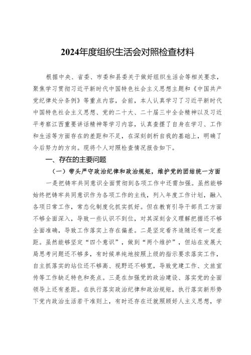 政法干部2024年度组织生活会对照检查材料.docx