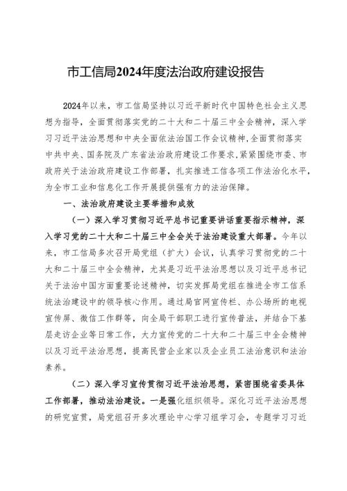市工信局2024年度法治政府建设报告.docx
