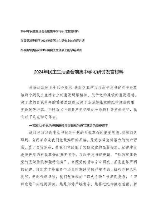 2025年民主生活会会前集中学习研讨发言、会上的点评及会上的总结讲话.docx