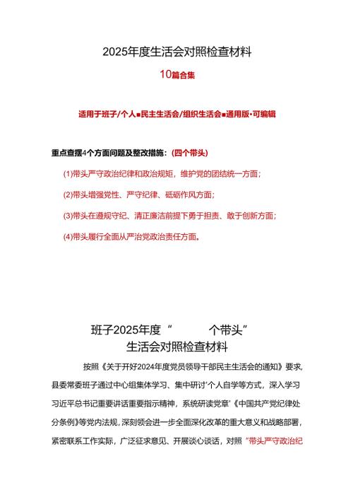 支部2025年民主生活会（四个带头方面）合集资料.docx