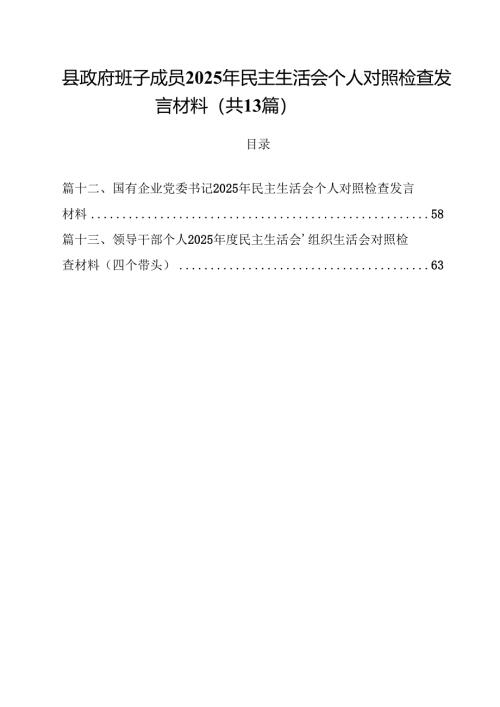县政府班子成员2025年民主生活会个人对照检查发言材料（共13篇）.docx