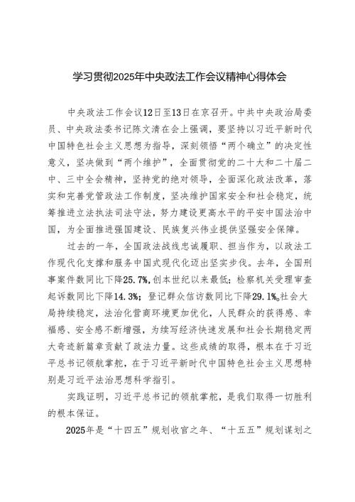 2025年学习贯彻中央政法工作会议精神心得体会感悟.docx