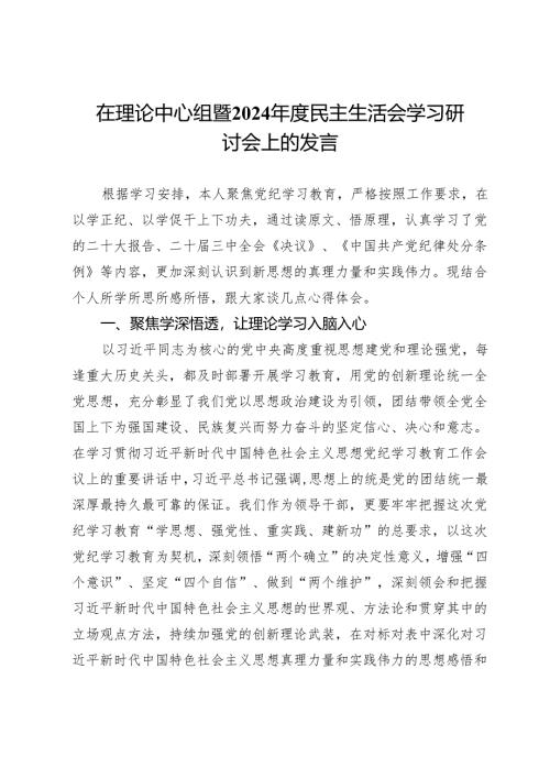 在理论中心组暨2024年度民主生活会学习研讨会上的发言.docx