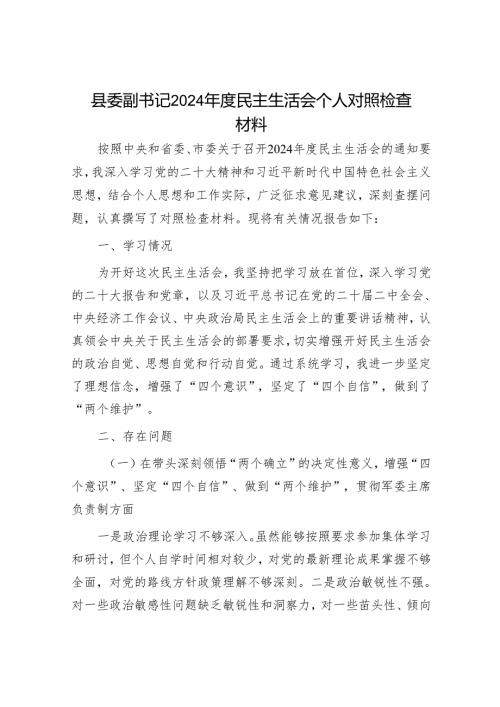 2025年度民主生活会对照检查材料精选两篇合辑（副书记）.docx