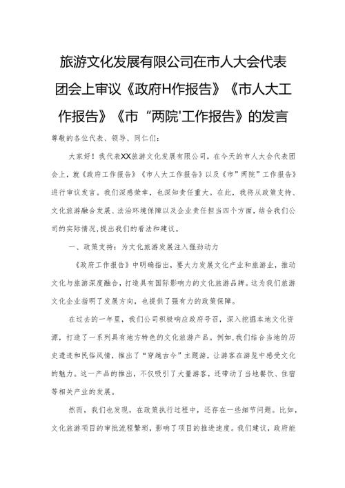 旅游文化发展有限公司在市人大会代表团会上审议《政府工作报告》《市人大工作报告》《市“两院”工作报告》的发言.docx