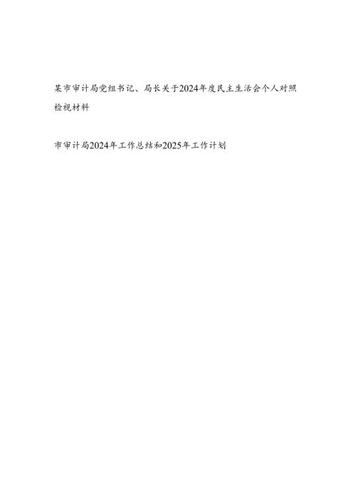市审计局党组书记局长关于2024年度民主生活会个人对照检视材料和审计局2024年度工作总结和2025年工作计划.docx