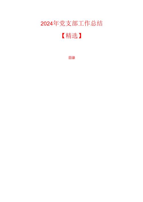2024年党支部工作总结.docx