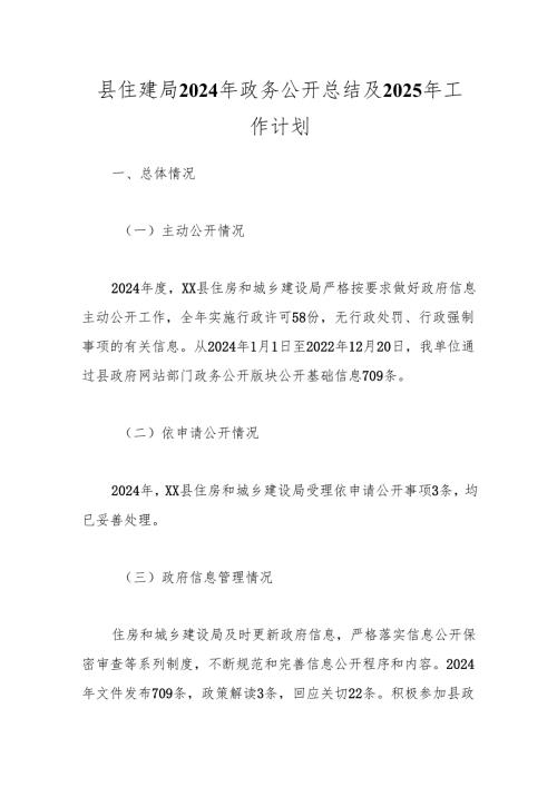 县住建局2024年政务公开总结及2025年工作计划.docx