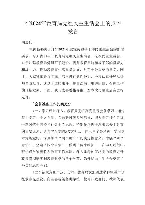 在2024年教育局党组民主生活会上的点评发言.docx