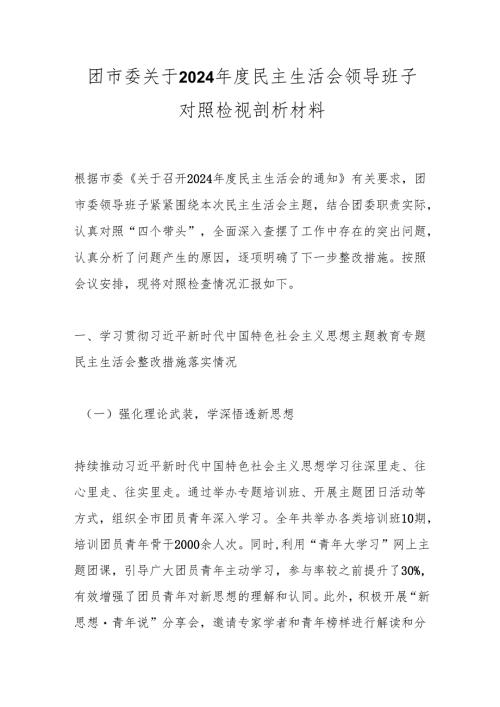 团市委关于2024年度民主生活会领导班子对照检视剖析材料.docx