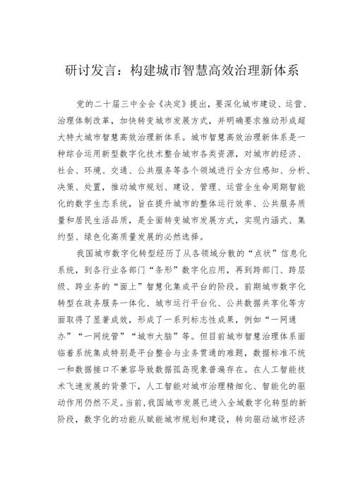 研讨发言：构建城市智慧高效治理新体系.docx