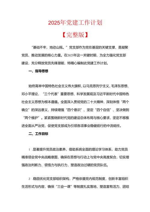 2025 年党建工作计划.docx