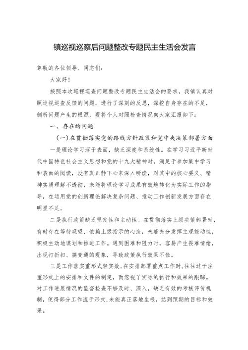 2025乡镇巡视巡察后问题整改专题民主生活会发言.docx