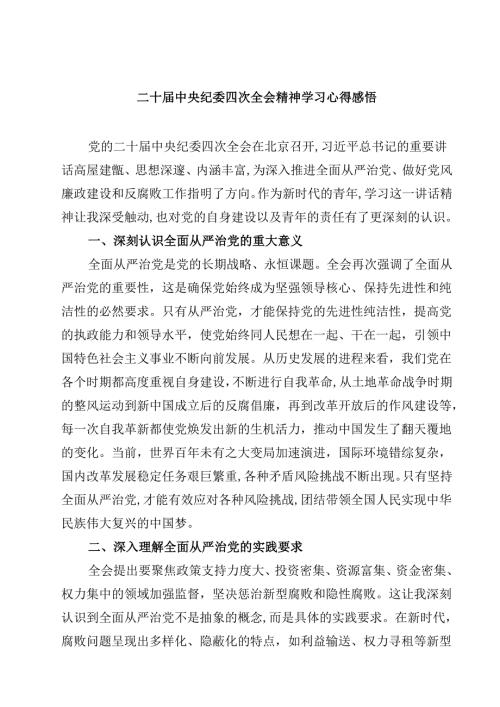 二十届中央纪委四次全会精神学习心得感悟【4篇】供参考.docx
