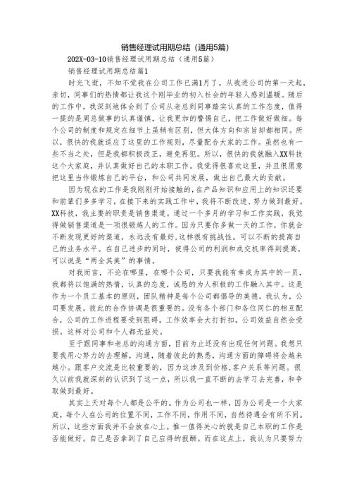 销售经理试用期总结（通用5篇）.docx