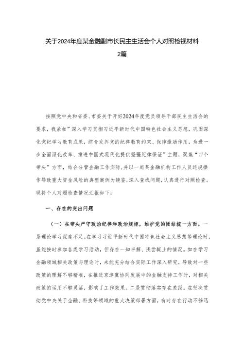 关于2024年度某金融副市长民主生活会个人对照检视材料2篇.docx