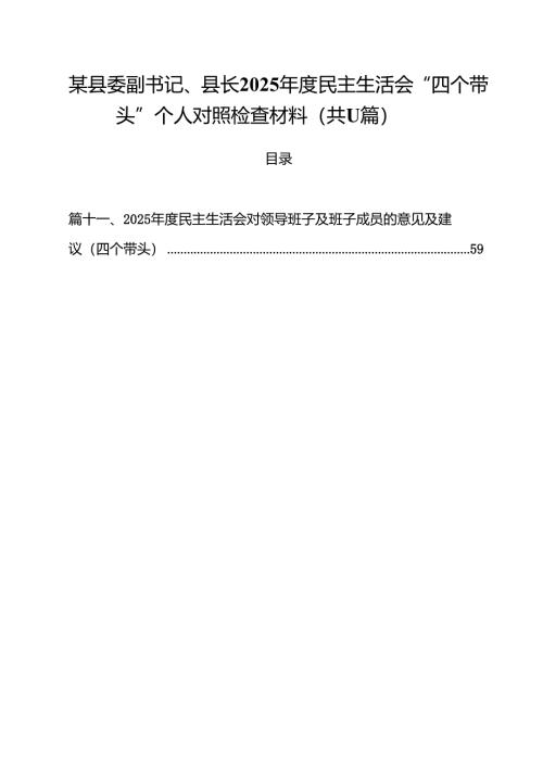 某县委副书记、县长2025年度民主生活会“四个带头”个人对照检查材料（共11篇）.docx