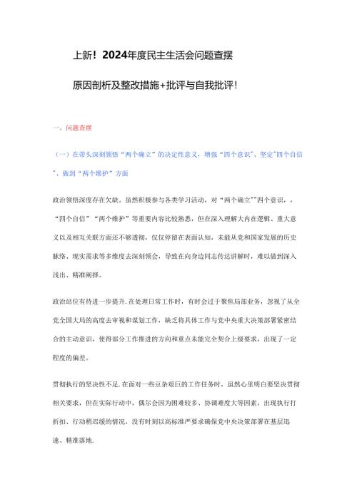 上新！2024年度民主生活会问题查摆.docx
