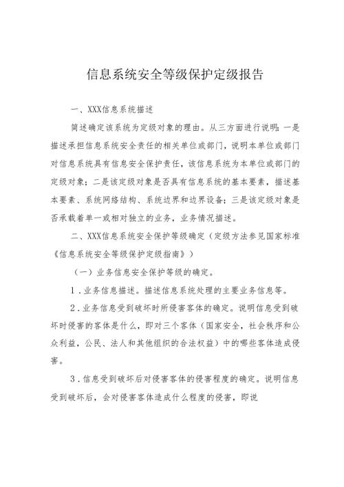 重要信息系统定级工作实施方案及说明 - 中华人民共和国国家.docx