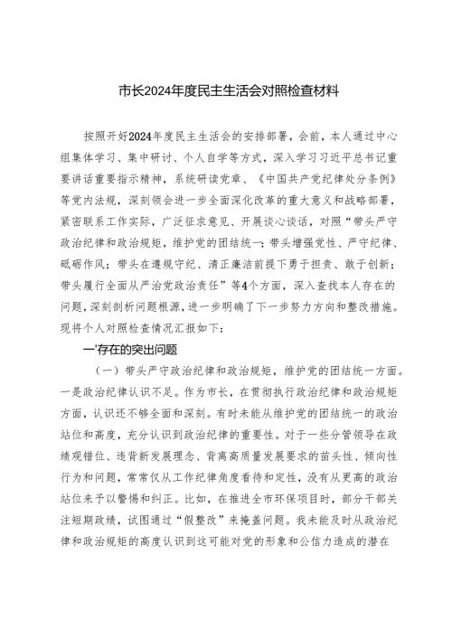 市长2024-2025年度民主生活会对照检查材料.docx
