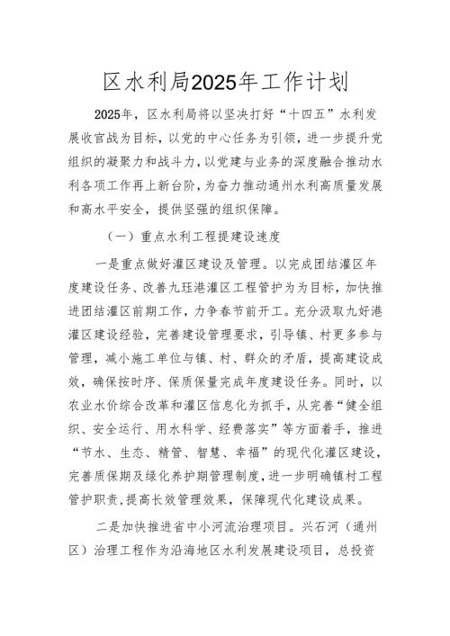 区水利局2025年工作计划.docx