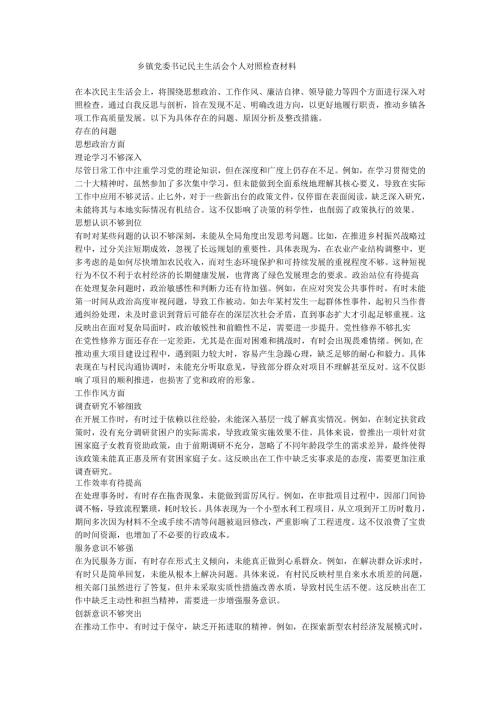 乡镇党委书记民主生活会个人对照检查材料.docx