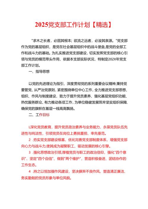 2025党支部工作计划【精选】.docx