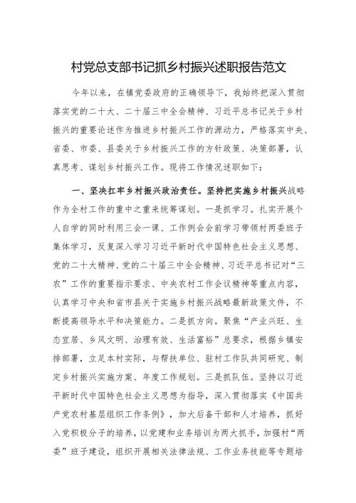 村党总支部书记抓乡村振兴述职报告范文.docx