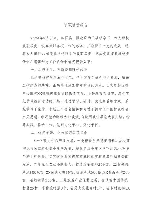 述职述责报告.docx
