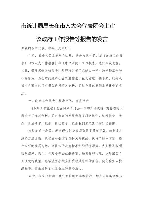 市统计局局长在市人大会代表团会上审议政府工作报告等报告的发言.docx