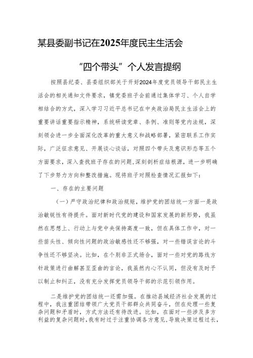 某县委副书记在2025年度民主生活会“四个带头”个人发言提纲7.docx