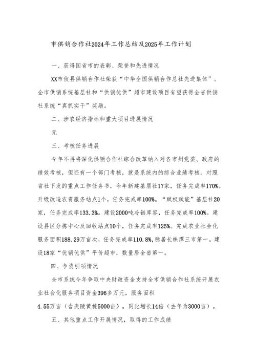 市供销合作社2024年工作总结及2025年工作计划.docx