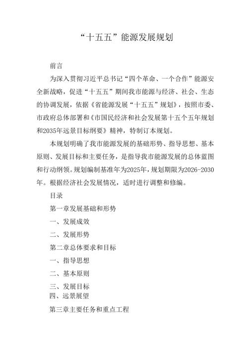“十五五”能源发展规划.docx
