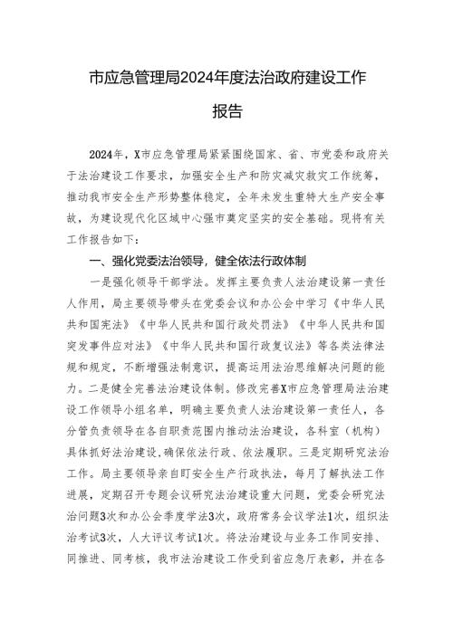 最新市应急管理局2024年度法治政府建设工作报告.docx