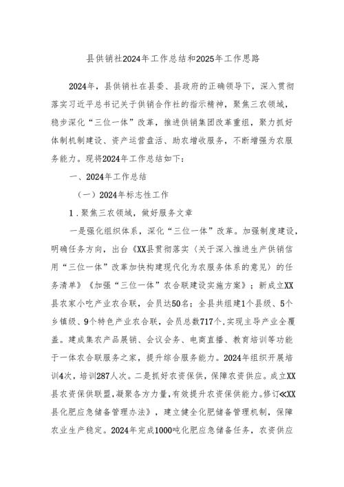 县供销社2024年工作总结和2025年工作思路.docx