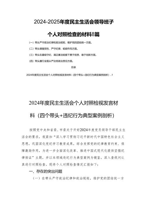 2024-2025年度民主生活领导班子个人检查的材料8篇.docx
