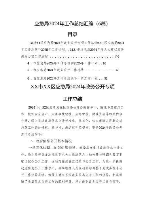 应急局2024年工作总结汇编（6篇）.docx