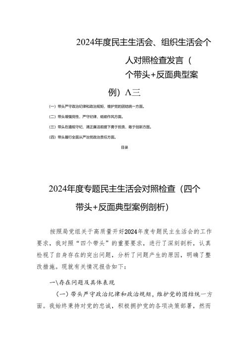 2024年度民主生活、组织生活个人检查发言（四个带头+反面典型案例） 八篇.docx