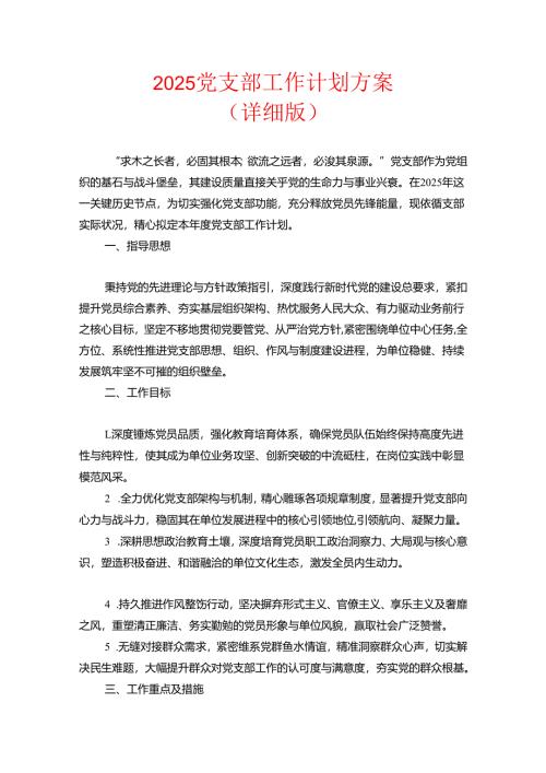 2025 党支部工作计划方案（详细版）.docx