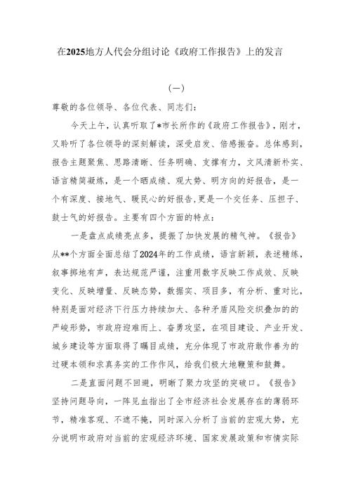 在2025地方人代会分团讨论《政府工作报告》上的发言.docx