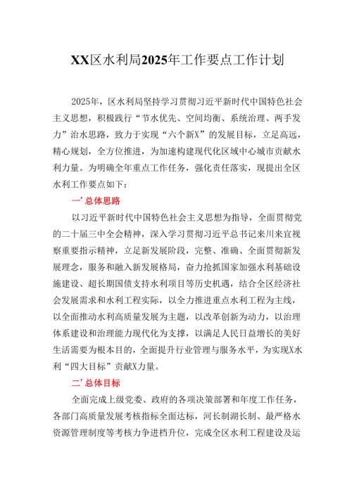 XX区水利局2025年工作要点工作计划.docx