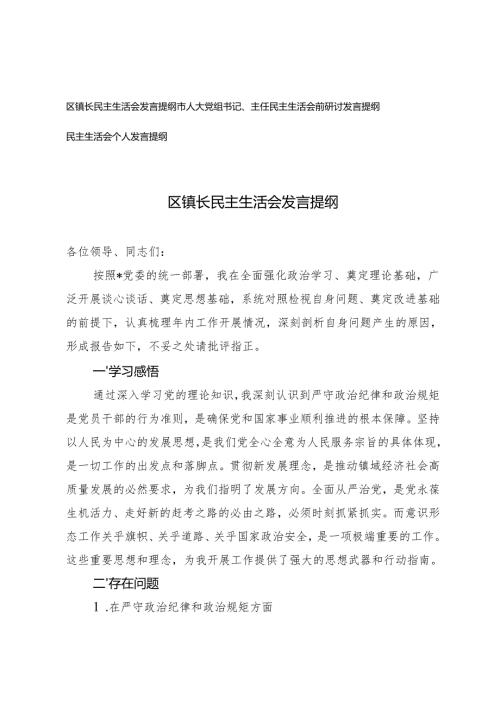 镇长民主生活会发言提纲、市人大党组书记、主任民主生活会前研讨发言提纲.docx